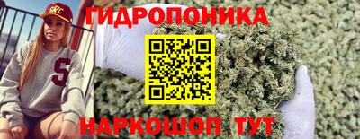 a pvp Тулун