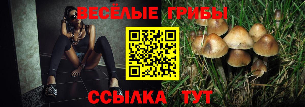Псилоцибиновые грибы мицелий  Вход с VPN  Нововоронеж  Галлюциногенные грибы Psilocybe 